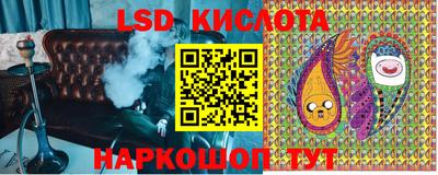 СК Краснодар