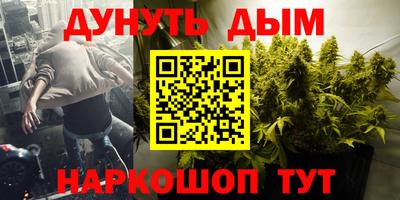 СК Краснодар