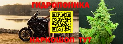 эйфоретик Краснокаменск
