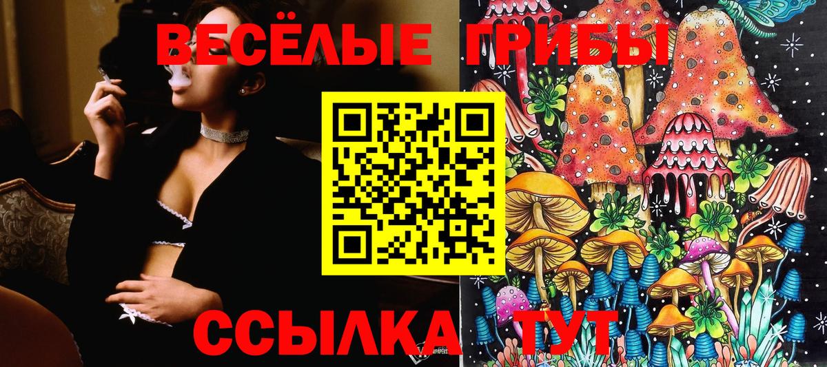 Галлюциногенные грибы GOLDEN TEACHER Кириши